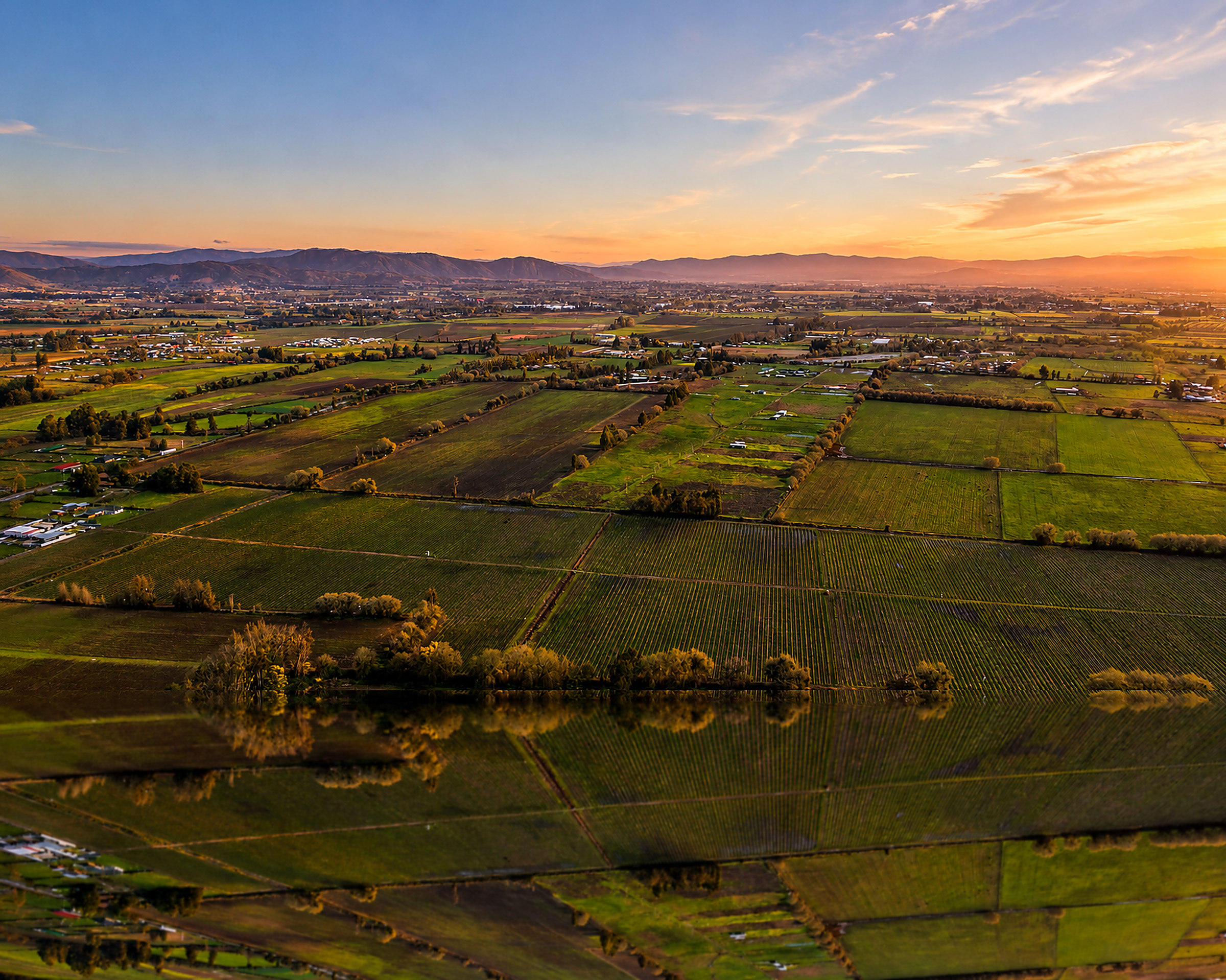 Vista aérea del valle del Maule al atardecer, Fundo Santa Trinidad